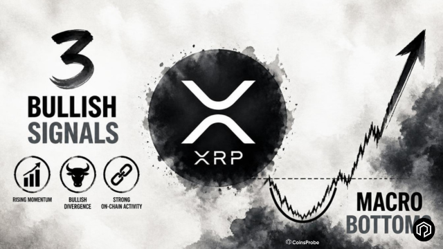 XRP의 거시적 바닥은 이미 형성되었을까요? 상승 전환을 시사하는 3가지 신호가 있습니다. 1 image 20