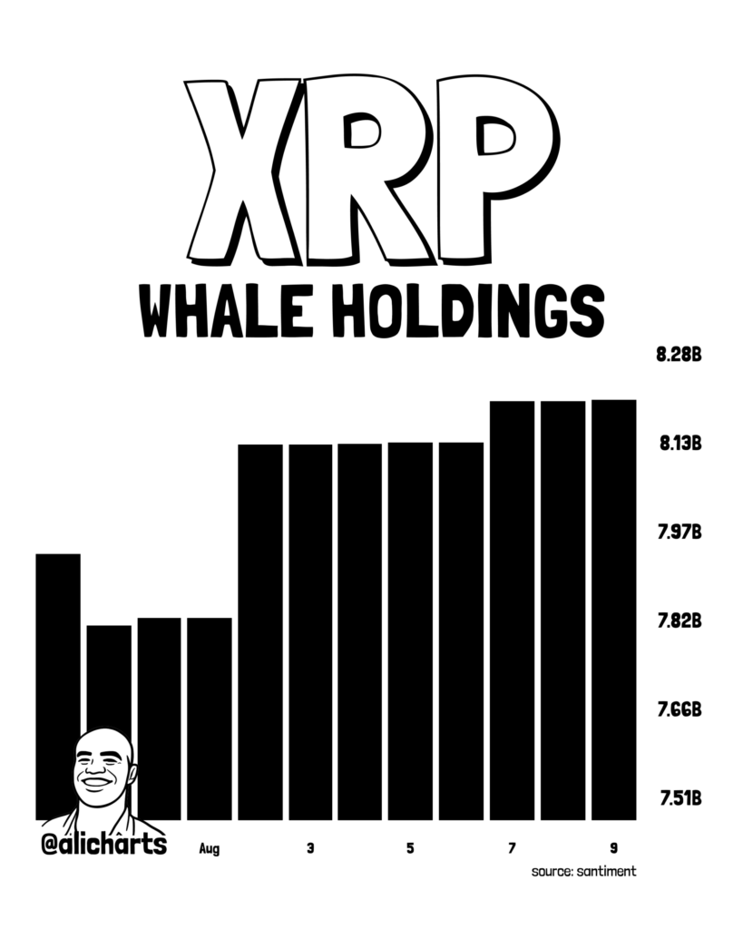 XRP의 거시적 바닥은 이미 형성되었을까요? 상승 전환을 시사하는 3가지 신호가 있습니다. 4 image 23